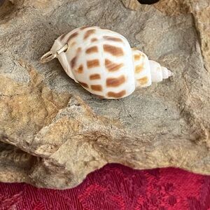 5/$10❤️❤️❤️NEW Vintage 60s Spiral Babylon Shell Pendant Charm